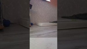 говорю с подписчиками.