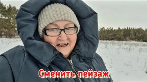 Тушёнка из Светофора и что из неё приготовить / Прогулка по лесу / Распаковка-чек