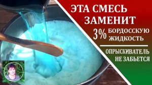Бордосская смесь 3% забивает опрыскиватель. Чем ее заменить при осенней обработке ягодников