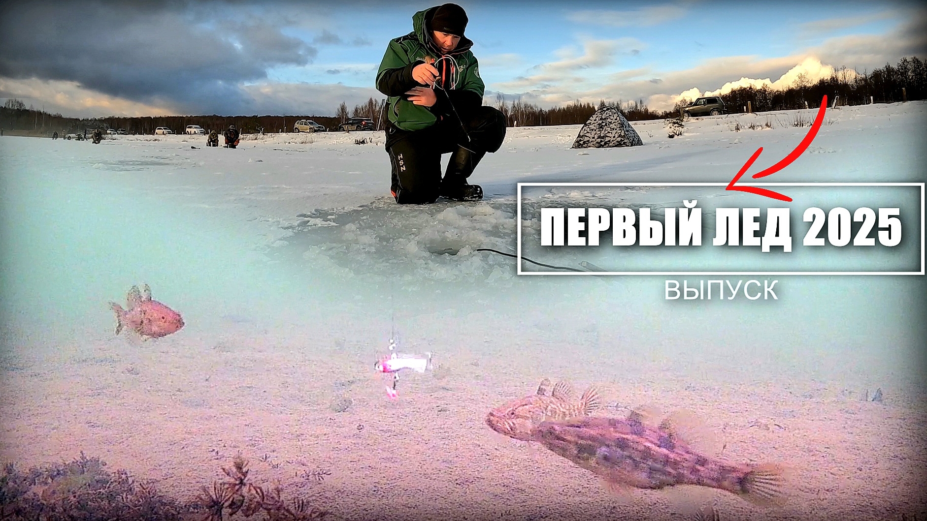 Первый лед 2025. Рыба кишит под лункой! Зимняя рыбалка на балансир. Подводная съемка.