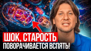 Как даже в 70 чувствовать себя на 20? Этого вам не рассказали в школе о митохондриях!