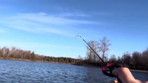 Вода кипит от рыбы. Ради такой рыбалки я ехал!