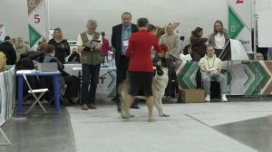 Стивит Армаст Герцогиня Юджин