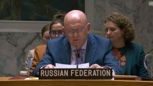 Небензя: убийства мирных жителей со стороны ВСУ находятся за гранью зла