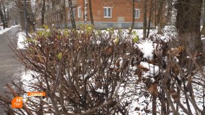 Прогноз погоды