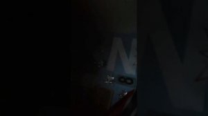 CПБ_ЛЕН. ОБЛАСТЬ _211125_ВСЕ БЕЗ СТРАХА - N_S0F_TREE_8