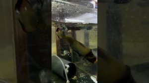 В гостях Трубицин . В.