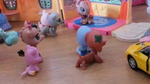 Непохожие близняшки