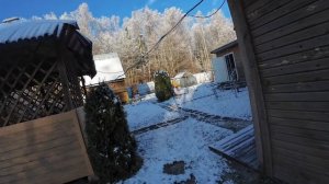 16.11.25 Еду на дачу видео привет с дачи