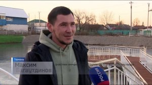 Тюменцы на общественных началах благоустроили пруд с живущими на нем лебедями