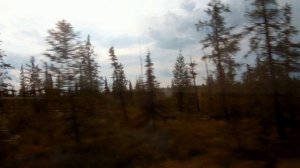 Путешествие на апарельке в Надым