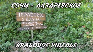 СОЧИ КРАБОВОЕ УЩЕЛЬЕ В ЛАЗАРЕВСКОМ НОЯБРЬ 2025