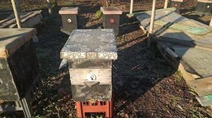 21 ноября . Первый раз такое !!! в это время .