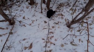 На улице хорошо.