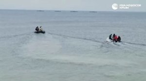 За полгода 2025-го в Крыму вырастили 607 тонн радужной форели