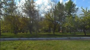 за торговым 2019г