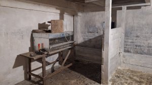 Побелила в сарае.Первый ❄️Выбилась из графика.