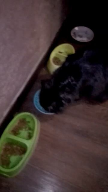 DJ Кот & Борис Пастернак - Зимняя ночь. Свеча горела на столе.