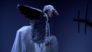 «ЧАЙКА» НА КАМЧАТКЕ