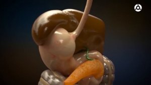 ЗОЖ. Изжога