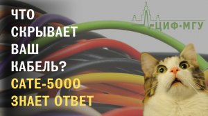 CaTe-5000 — комплексное решение для тестирования кабелей с любыми разъемами.