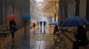 осень 🍂  для тебя