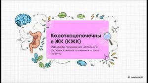 Микробные чемпионы: влияние кишечной микробиоты на спортивные результаты через ось «кишечник-мозг»