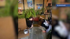 2025_11_21_Новоости глав