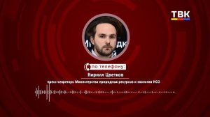 Осторожно, дикие животные! В НСО сезон миграции копытных — водителям советуют быть бдительными