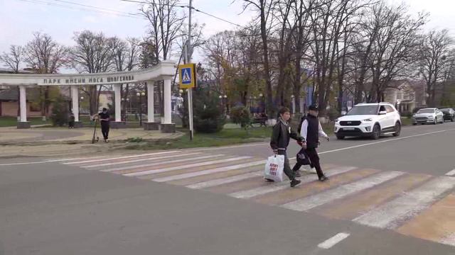 Оперативно-профилактическое мероприятие "Пешеход" смотреть онлайн