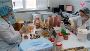 День здоровья | 21.11.2025