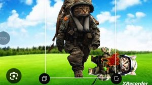 война котов(3)