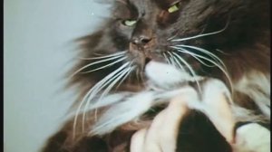 МетаМандала2026