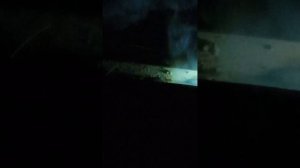 Качество электродов