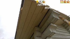 InShot_20251027_213056530