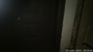 21.11.2025 музыка кв4. Результат деятельности полиции. Оренбург.