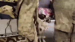 ‼️🇷🇺Хохлы сдаются НАШИМ ГЕРОЯМ РОССИИ в Красноармейске(Покровск)