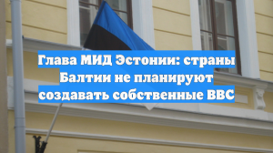 Глава МИД Эстонии: страны Балтии не планируют создавать собственные ВВС