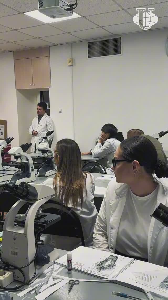 Один день из жизни преподавателя медицинского института РУДН смотреть онлайн