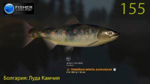 #155 Болгария: Луда Камчия ч.20 Путь к серебру: форель балканская. Прохождение Fisher Online