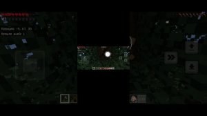 Играю в Майнкрафт с братом