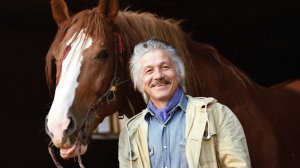 Михай Волонтир