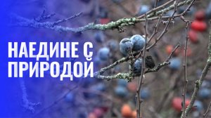 Виды с бугра в поселке Сулин