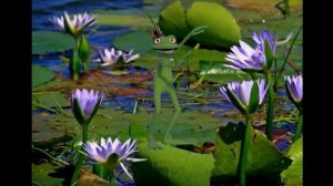 милая  лягушка