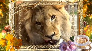 Доброе утро!