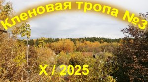 Кладовая солнца.  Кленовая тропа №3.  X/2025