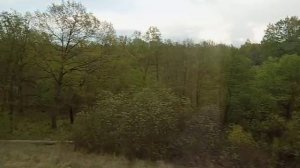 Май 2025 года, Московская область, природа на перегоне Воскресенск — Виноградово