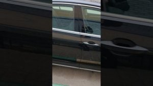 пассат 2019,1.4ат, 59ткм,1 хоз.mp4