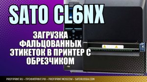 SATO CL6NX: ЗАГРУЗКА ФАЛЬЦОВАННОЙ БУМАГИ В ПРИНТЕР С ОБРЕЗЧИКОМ (2)