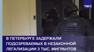 В Петербурге задержали подозреваемых в незаконной легализации 3 тыс. мигрантов